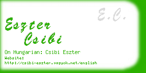 eszter csibi business card